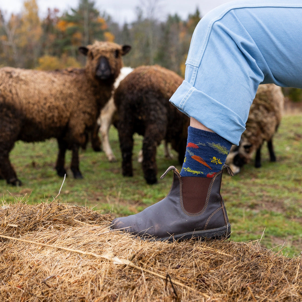 Women's Farmer's Market Crew Lightweight Lifestyle Socks